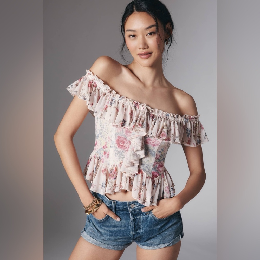 NWT $88 By Anthropologie Off-The-Shoulder Mesh Top Size XS - Sealed in bag!